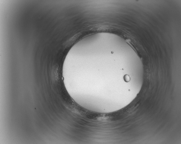 X0000067470216200604281902