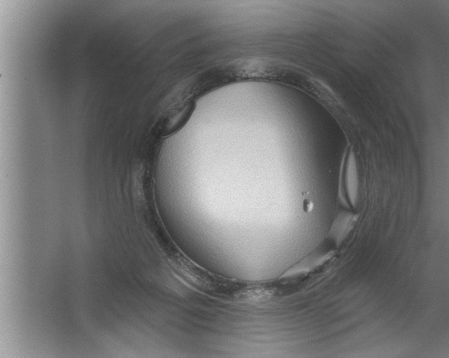 X0000067470217200604281902