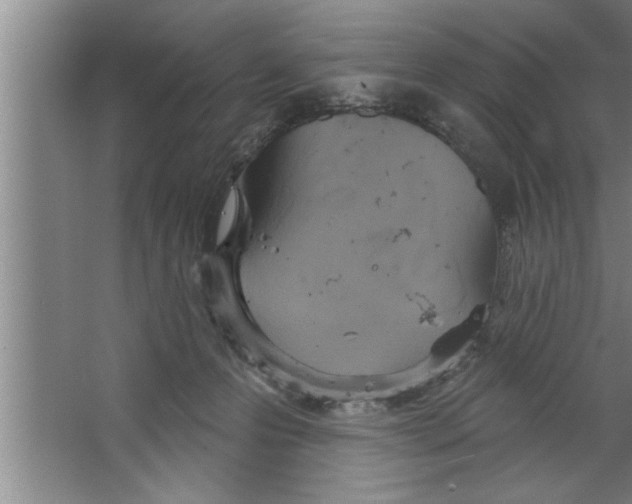 X0000067470223200604281902