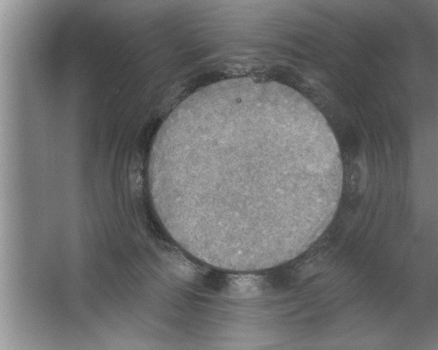 X0000067470226200604281902