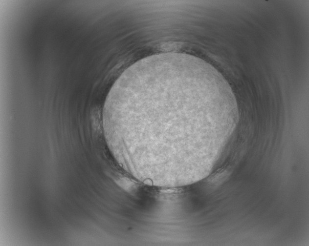 X0000067470240200604281902