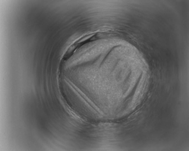 X0000067470242200604281901