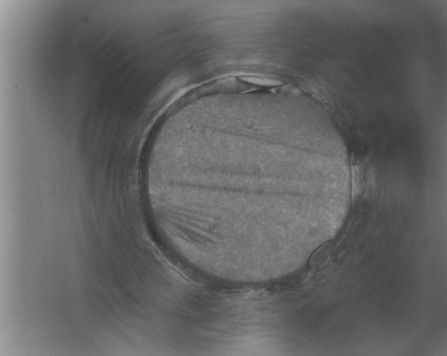 X0000067470243200604281901