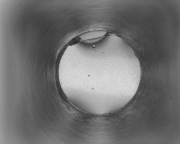 X0000067470244200604281901