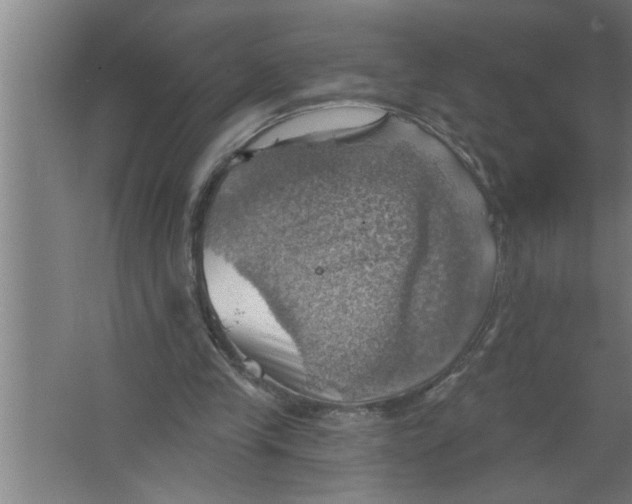 X0000067470245200604281901