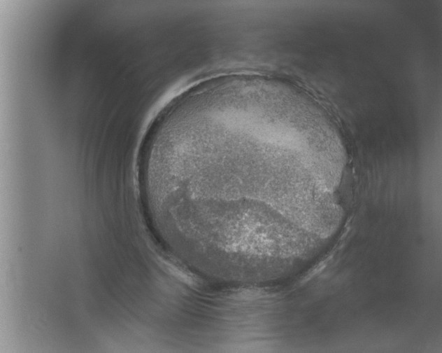 X0000067470246200604281901