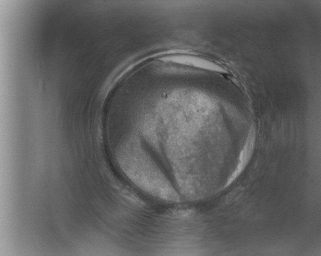 X0000067470247200604281901