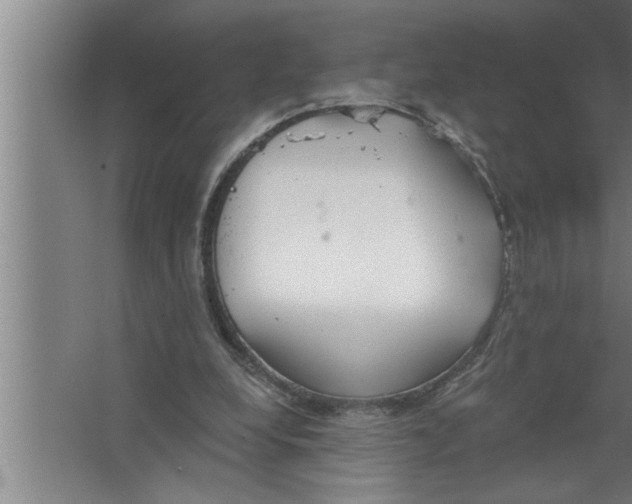 X0000067470248200604281901