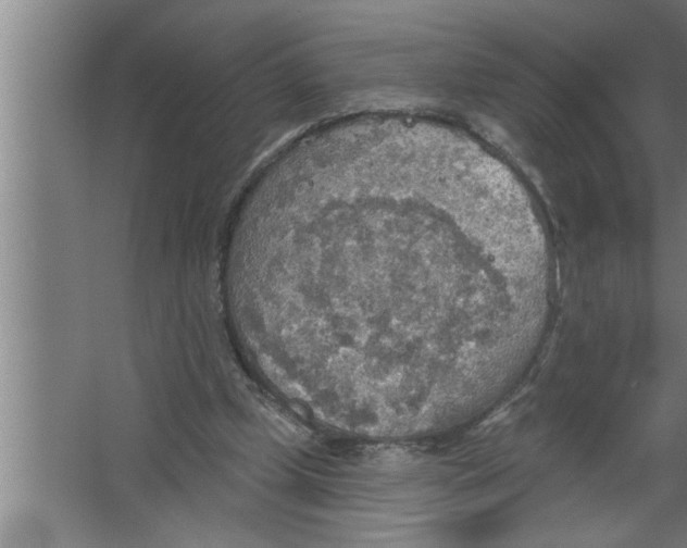 X0000067470249200604281901