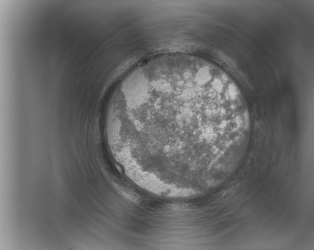 X0000067470250200604281901