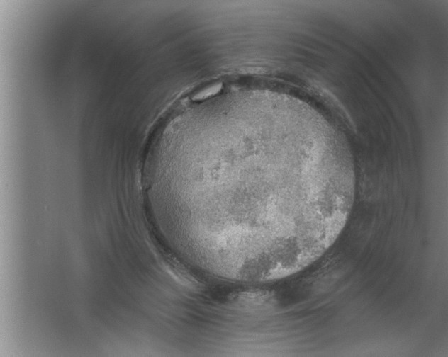 X0000067470251200604281901