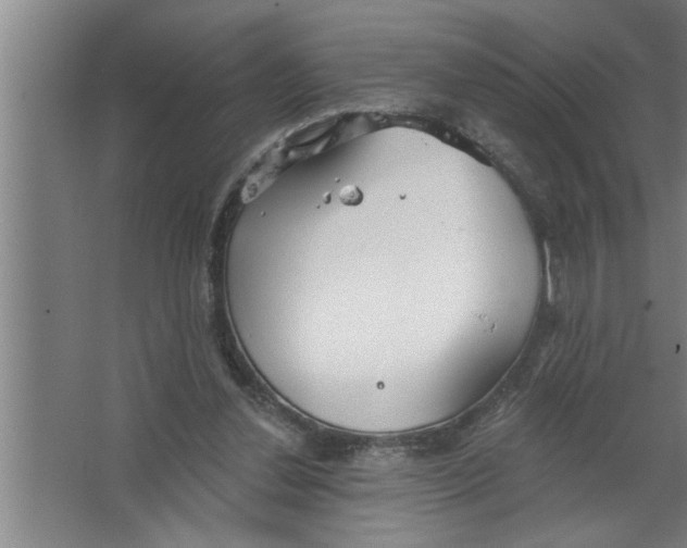 X0000067470252200604281901