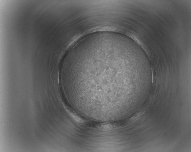 X0000067470253200604281901