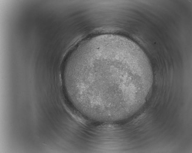 X0000067470254200604281901