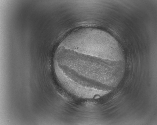 X0000067470255200604281901