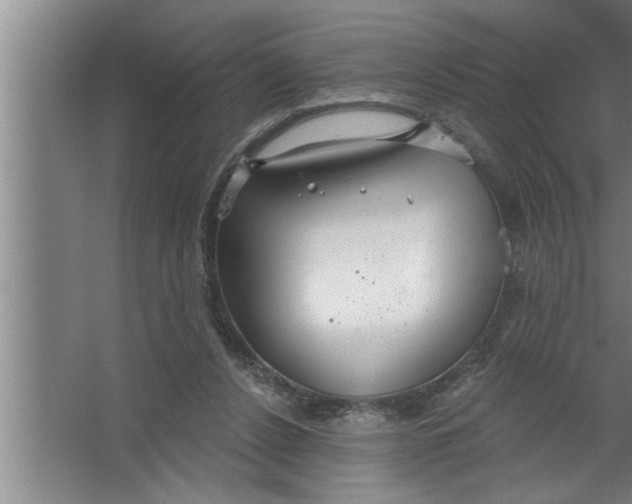 X0000067470256200604281901