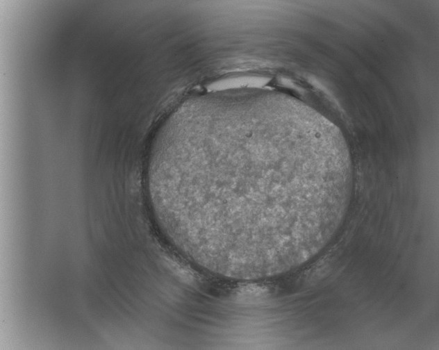 X0000067470257200604281901