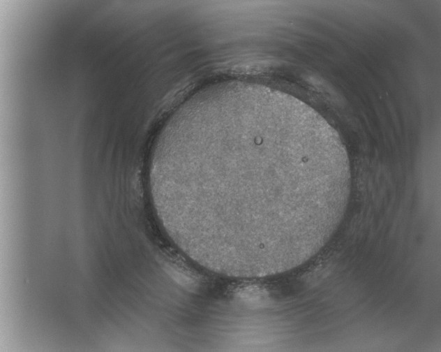 X0000067470258200604281901