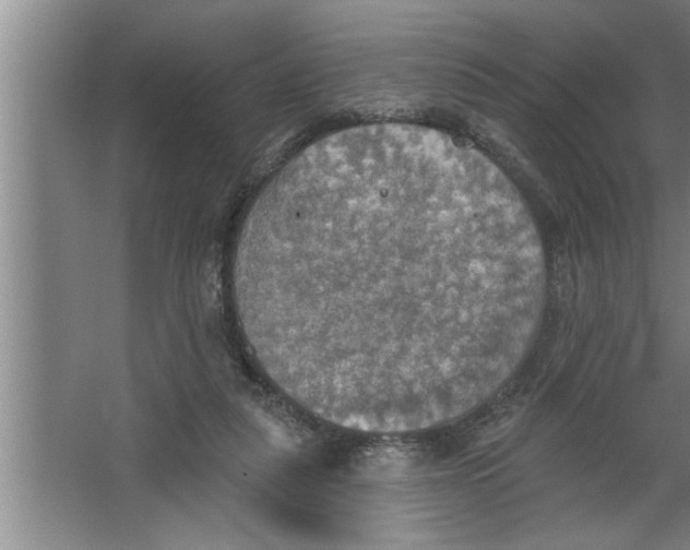 X0000067470259200604281901