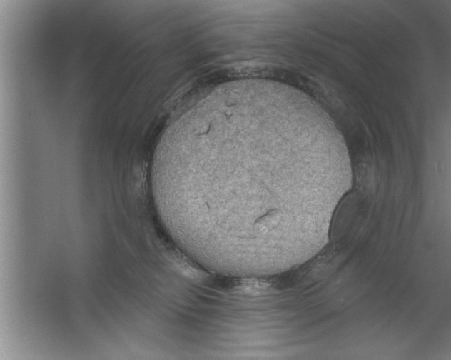 X0000067470278200604281902