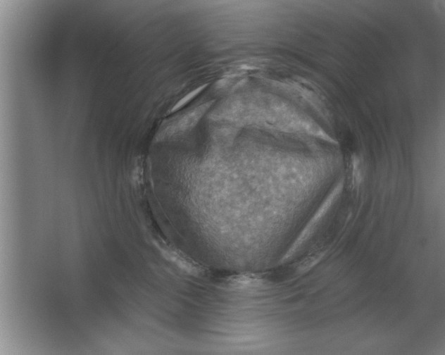 X0000067470284200604281902