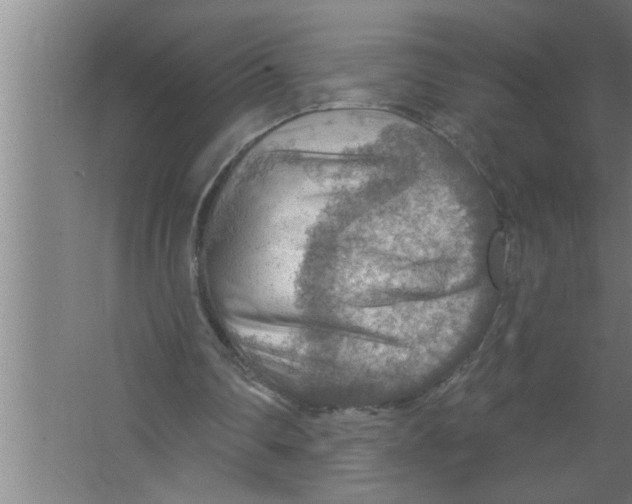 X0000067470290200604281901