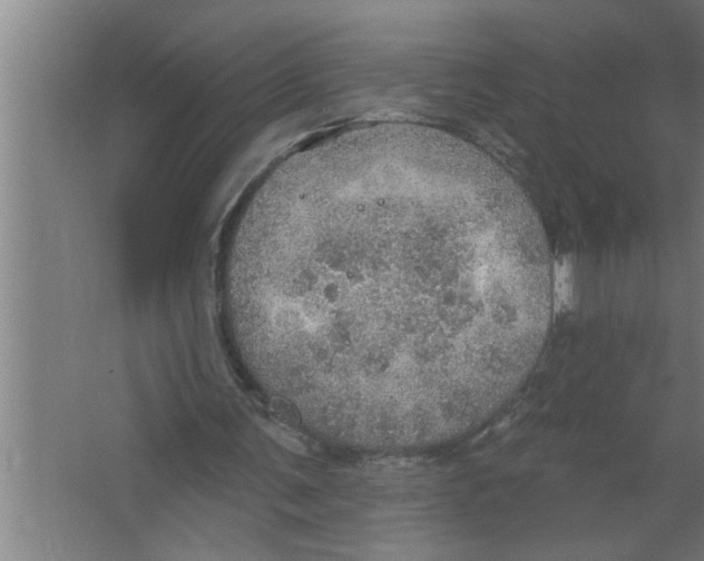 X0000067470291200604281901