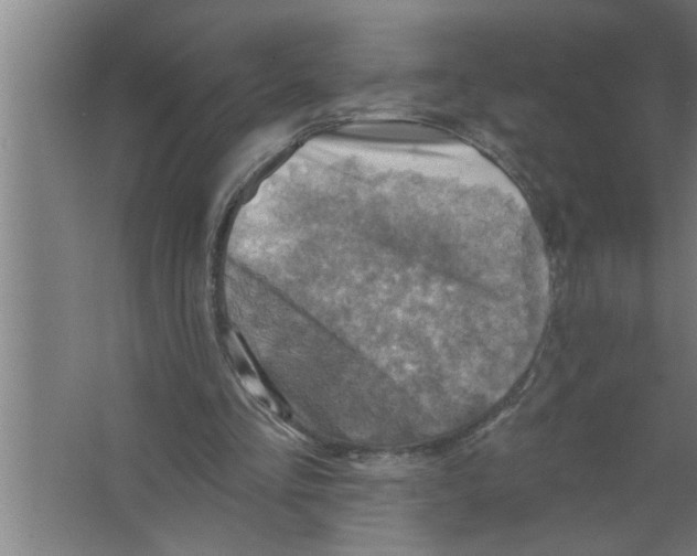 X0000067470293200604281901