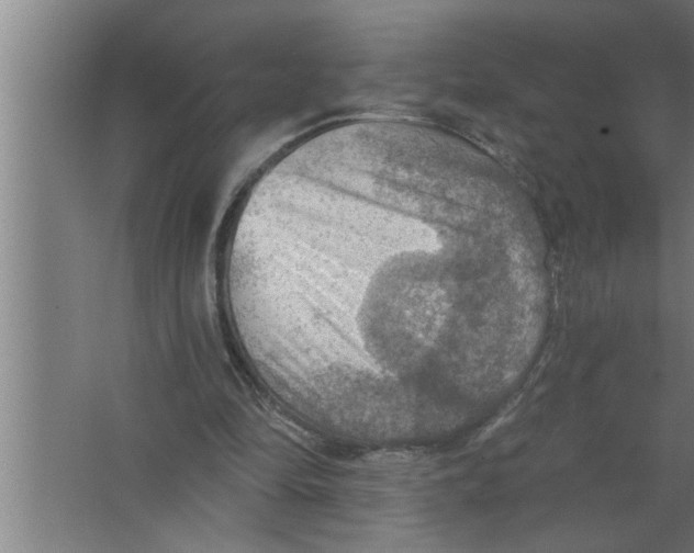 X0000067470294200604281901