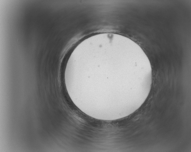 X0000067470296200604281901