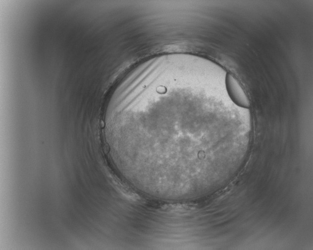 X0000067470297200604281901