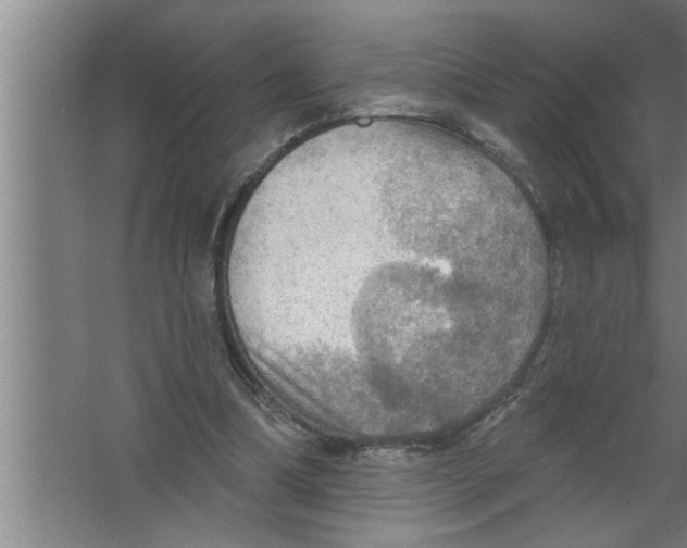 X0000067470298200604281901