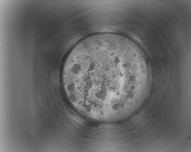 X0000067470299200604281901