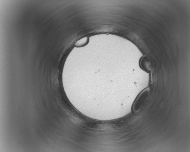 X0000067470300200604281901