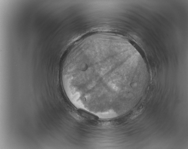 X0000067470301200604281901