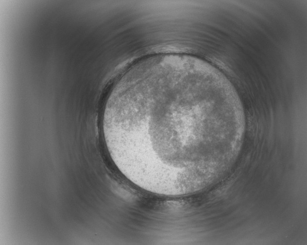 X0000067470302200604281901