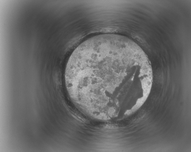 X0000067470303200604281901