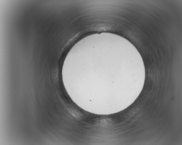 X0000067470304200604281901