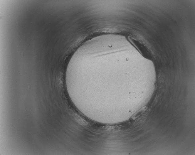 X0000067470305200604281901