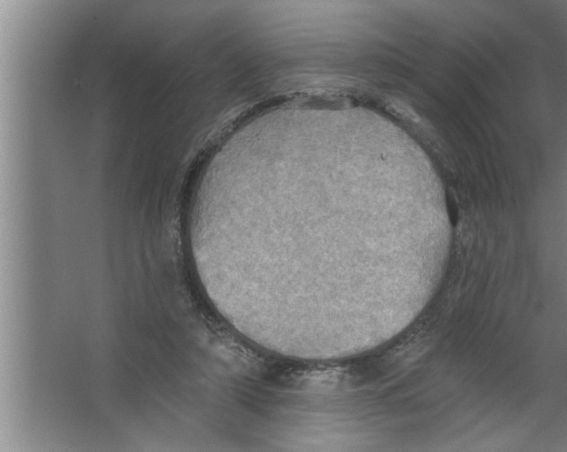 X0000067470306200604281901