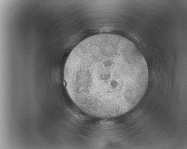 X0000067470311200604281901