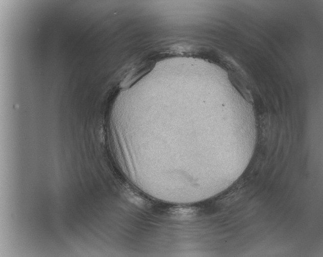 X0000067470313200604281901