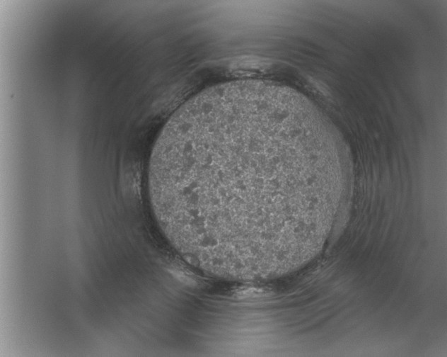 X0000067470315200604281901