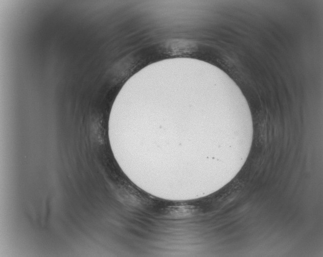 X0000067470316200604281901