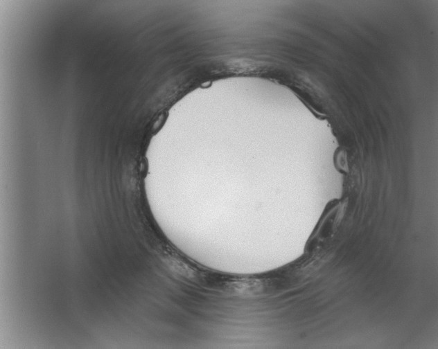 X0000067470317200604281901