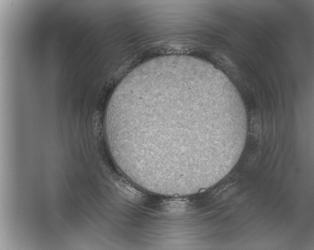 X0000067470318200604281901