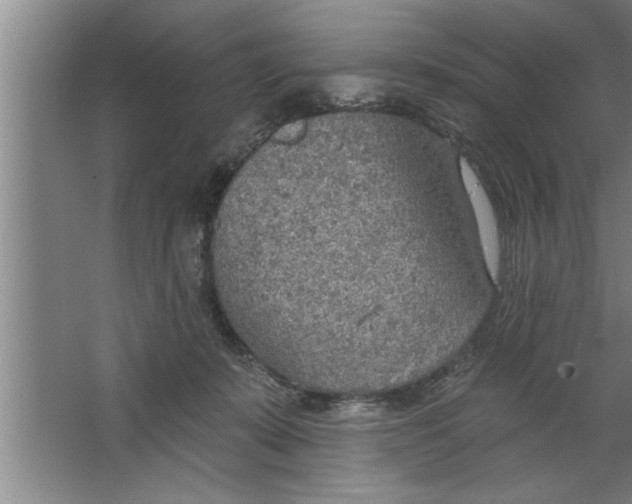 X0000067470319200604281901