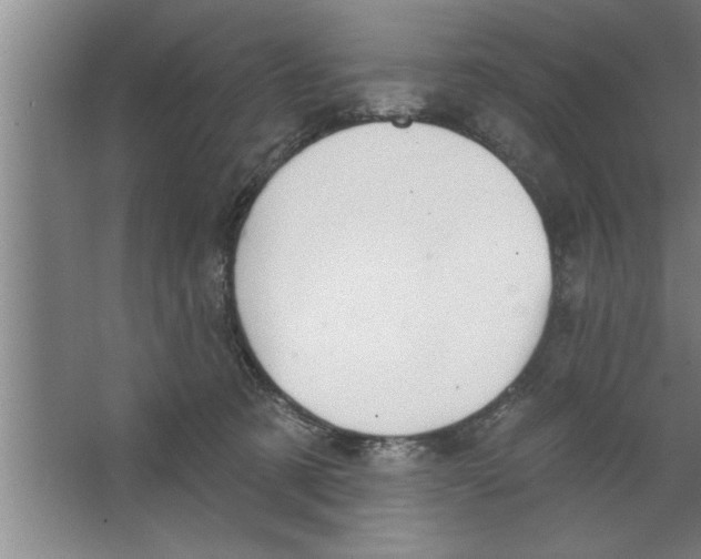 X0000067470321200604281901