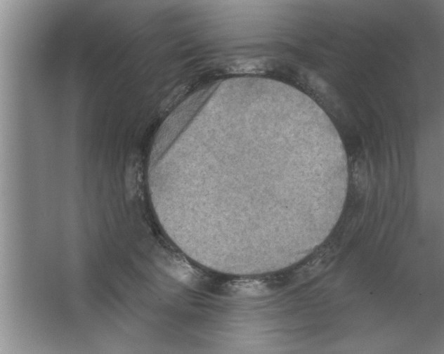 X0000067470322200604281901