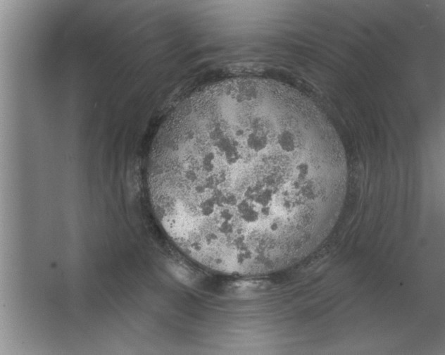 X0000067470323200604281901